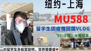 纽约留学生爆料视频播放,揭秘留学生活幕后真相